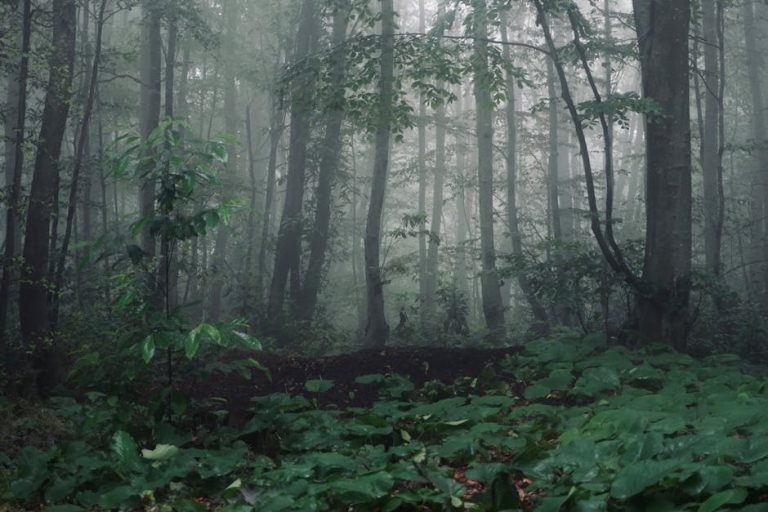 探索迷你倉的奧秘:從困境到解決之道