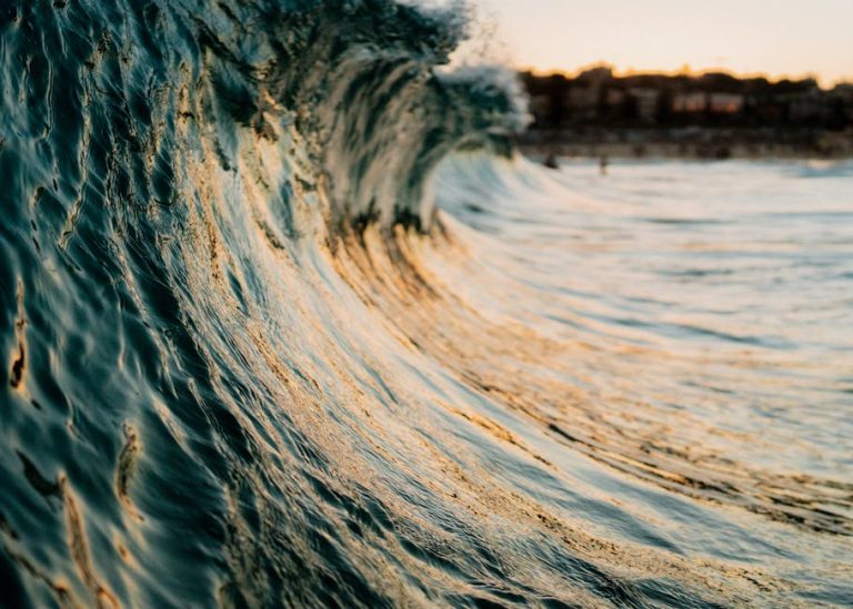 郵輪旅遊全攻略：輕鬆掌握每個必備步驟