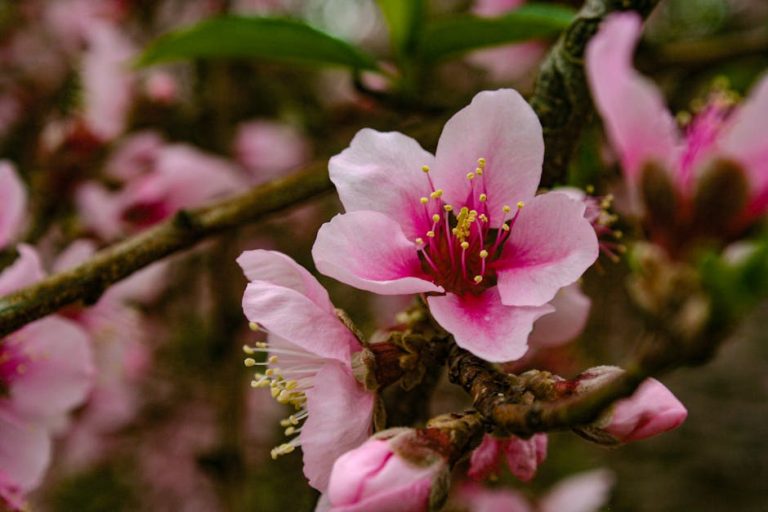 女童捐款:如何透過愛心改變她們的未來