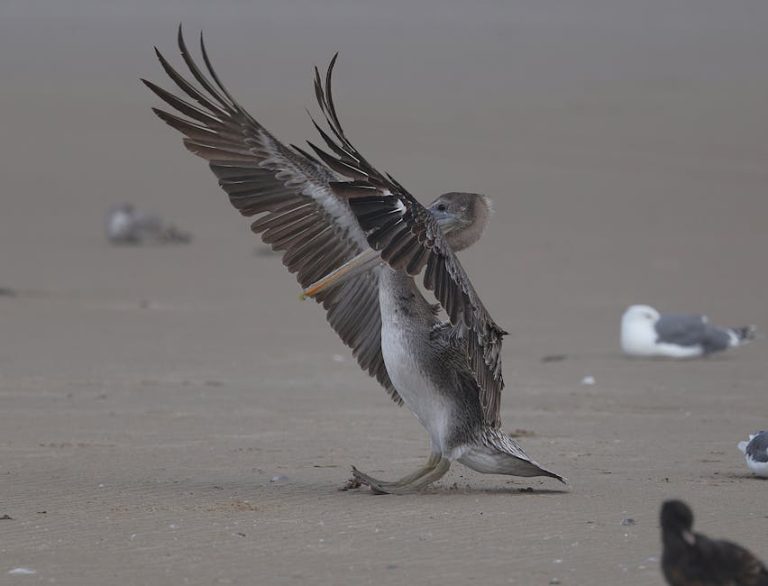迷你倉:解答您最常見的疑問